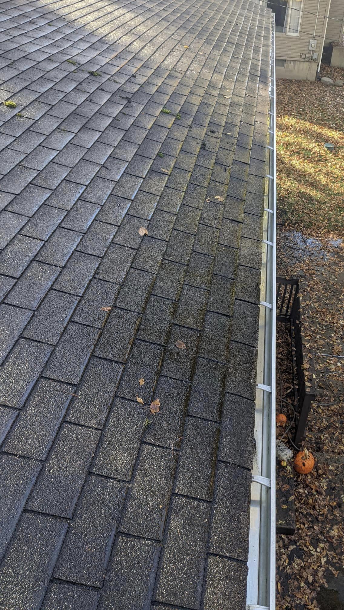 Gutter Cleaning in Canton OH